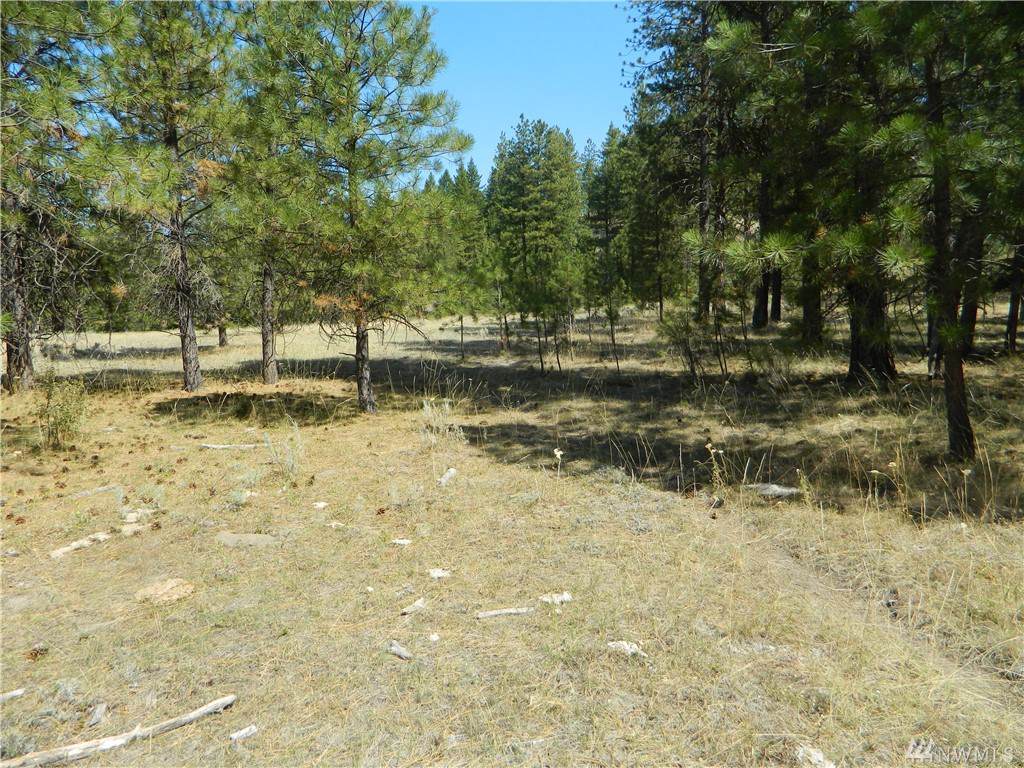 1111 Tbd Main Rd - Photo 1