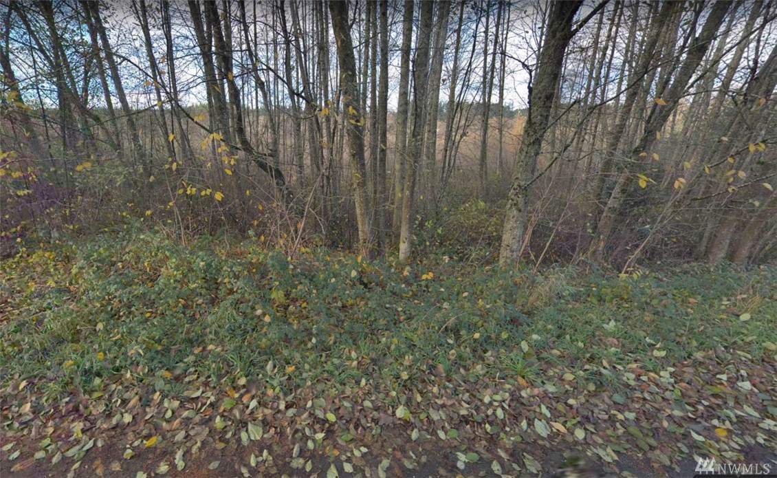 0 Schold Rd - Photo 1
