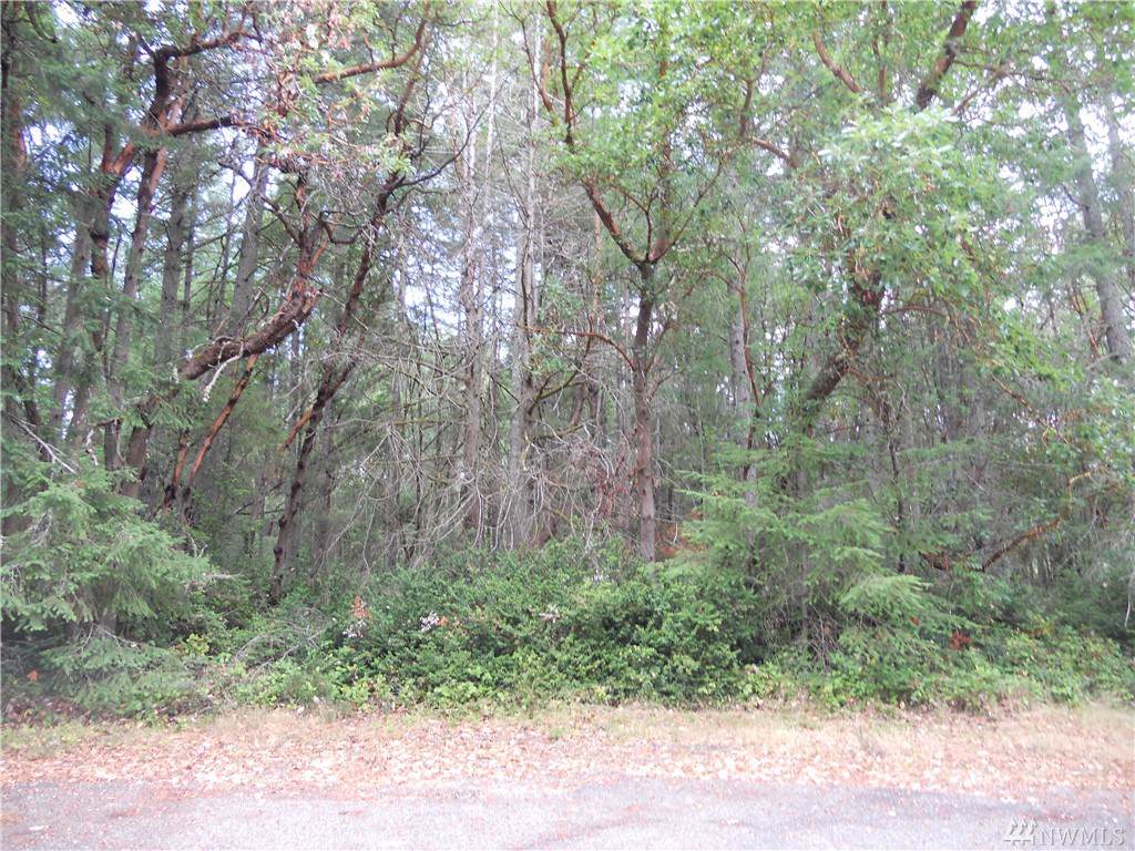 12907 91st St Ct - Photo 1