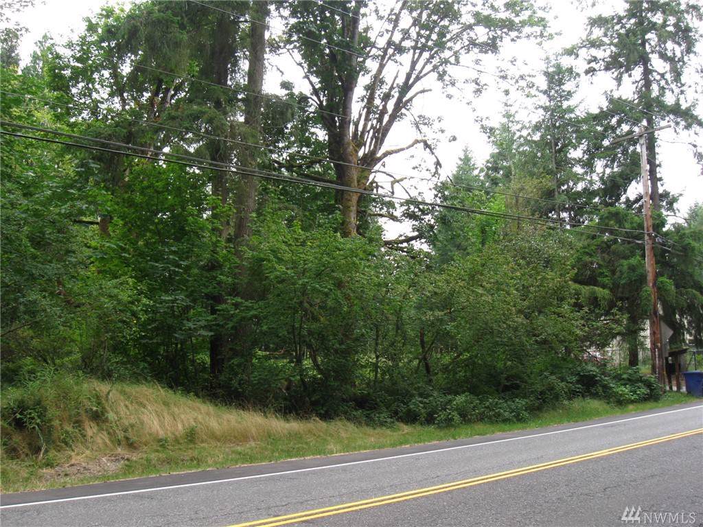 26003 Issaquah Fall City Rd - Photo 1