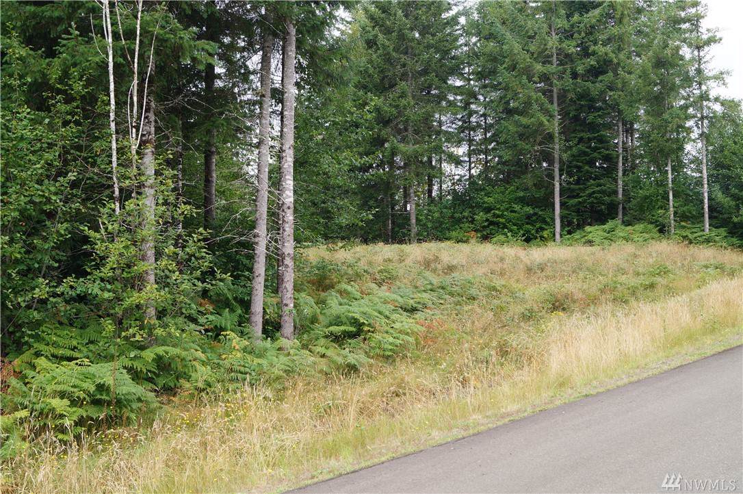 37 Blacktail Ridge Lane - Photo 1