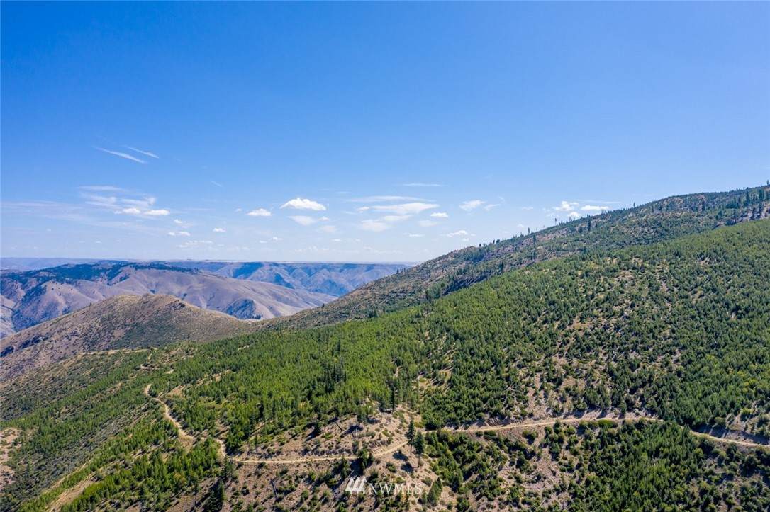 0 320 acre Mills Canyon Road - Photo 1