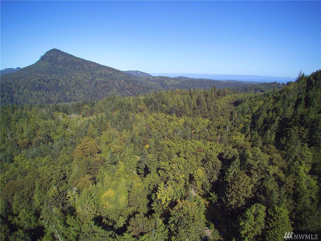 9999 Hwy 101 - Photo 1