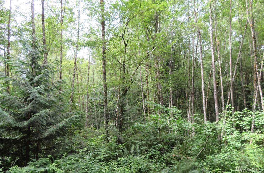 9711 Tveit Rd - Photo 1