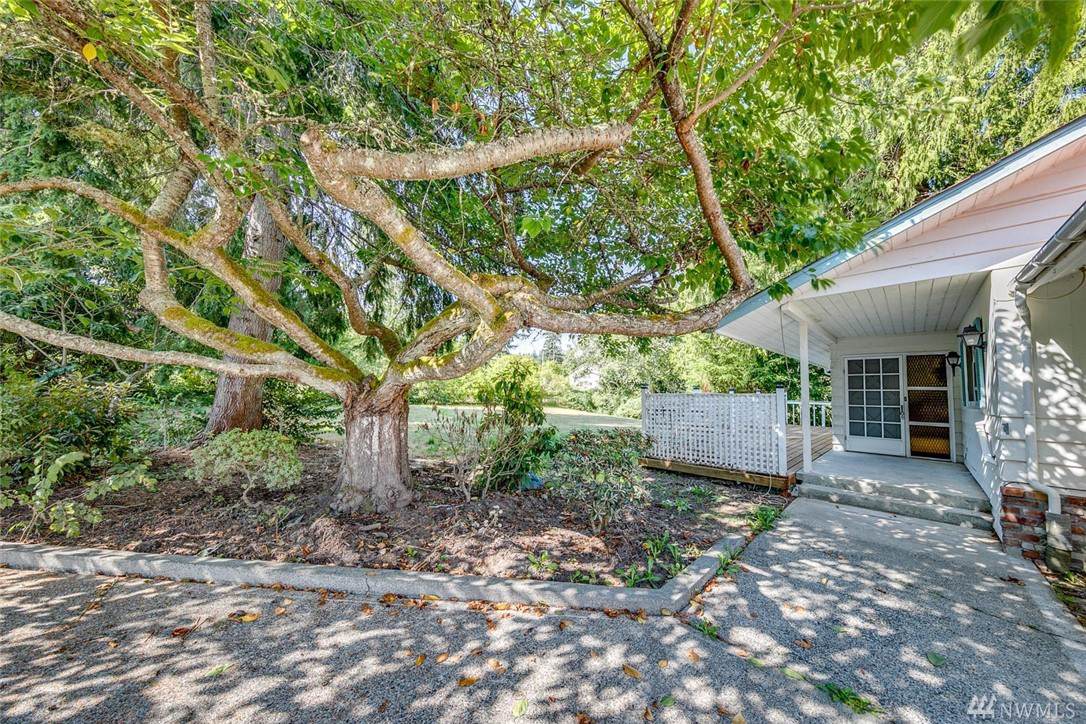 16821 Scandia Lane - Photo 1