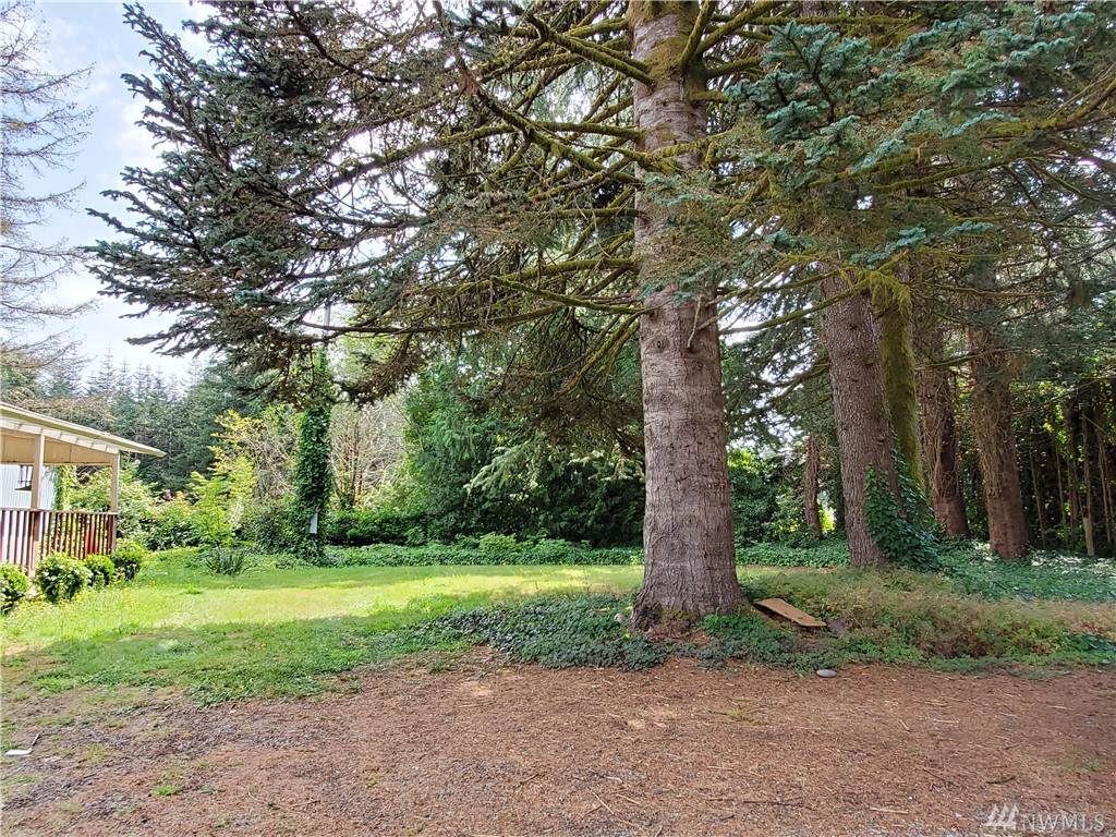 203 Satsop Riviera Lp - Photo 1