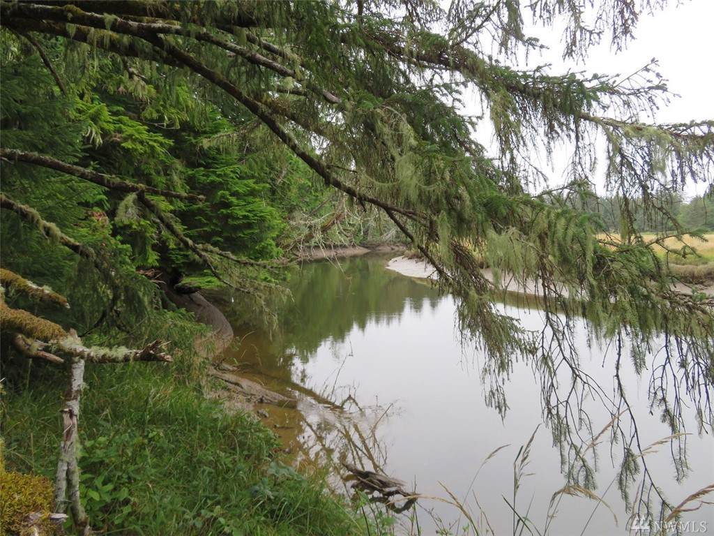 0 Trask Rd - Photo 1