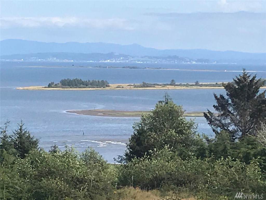 0 Klahanee Rd - Photo 1