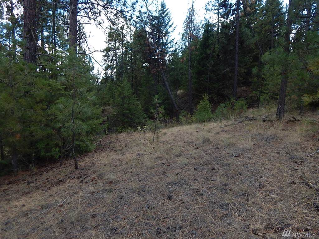 0-Lot 1 Sharp Tail Lane - Photo 1