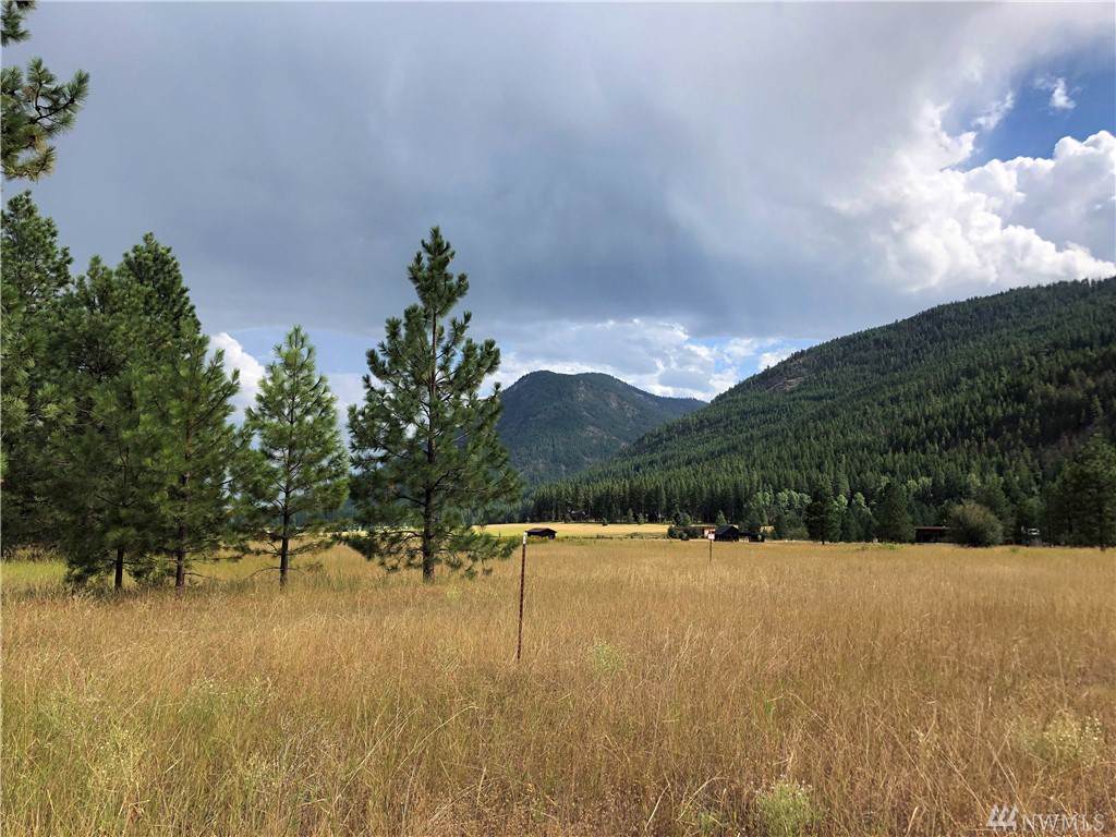 18016 Hwy 20 - Photo 1