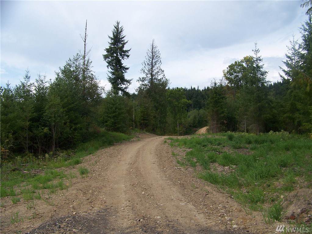 0-NNA Fork Rd - Photo 1