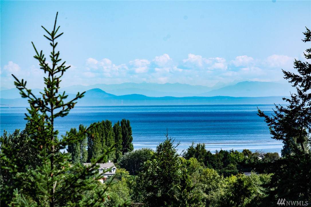 0 Woodland - Lot 28 Dr - Photo 1