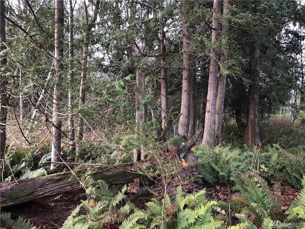 0 Woodpecker Hill Rd - Photo 1