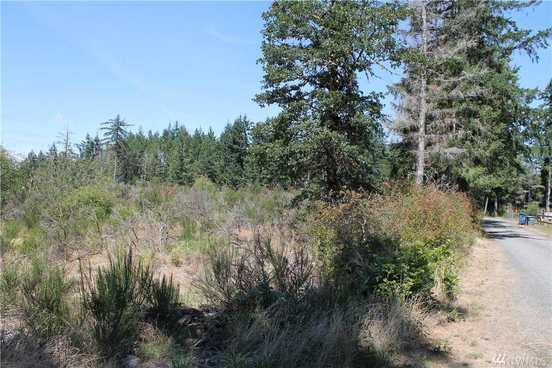 0-TR D Meyer Lake Rd - Photo 1