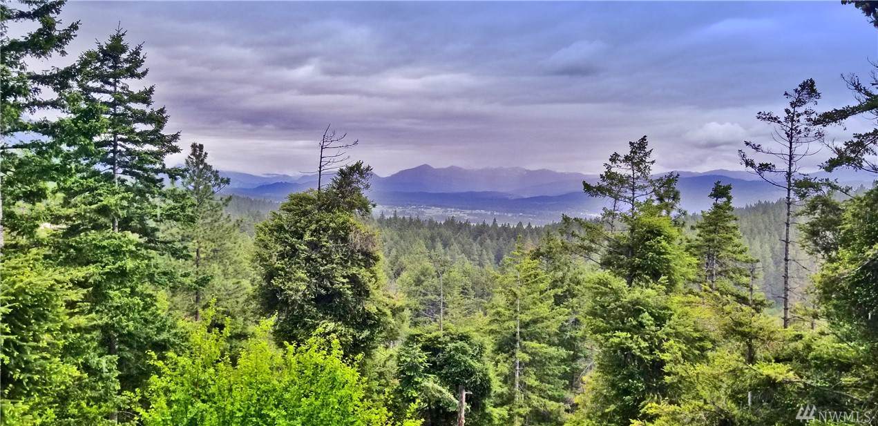 291 Sky Meadows Dr - Photo 1
