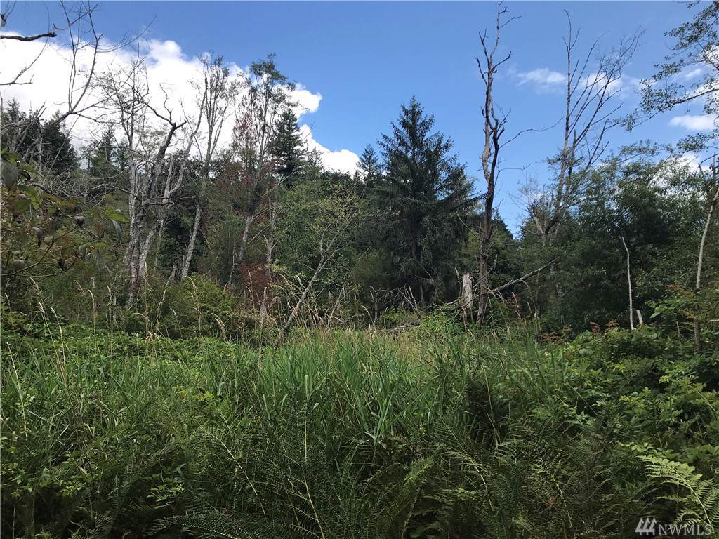 0 Xxxx Evergreen Wy - Photo 1