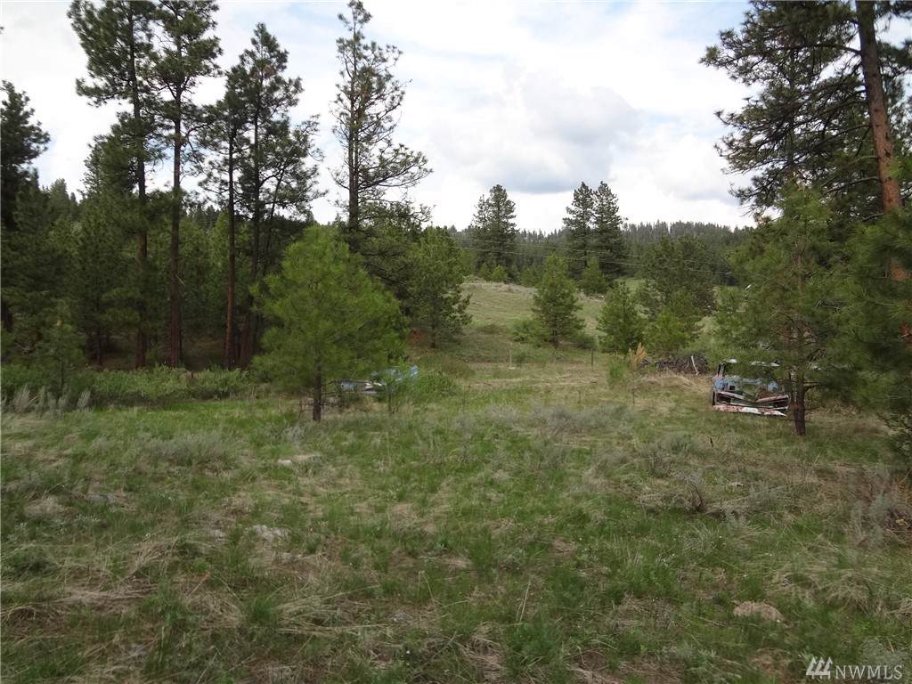 209 Blue Meadow Rd - Photo 1