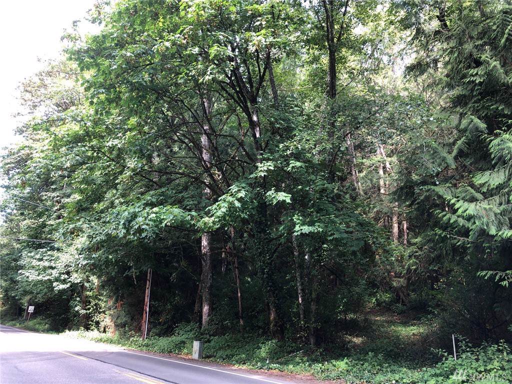 0 Brownsville Hwy & Old Military Rd - Photo 1