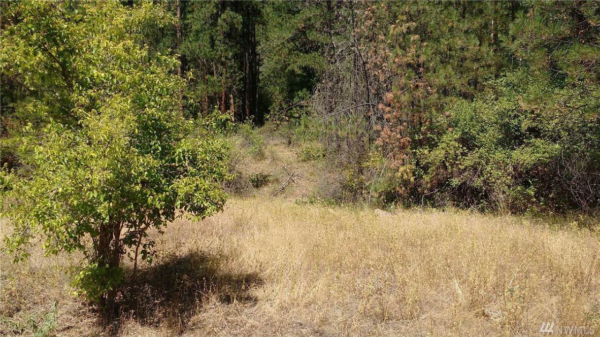 9999 Silver Creek Rd - Photo 1