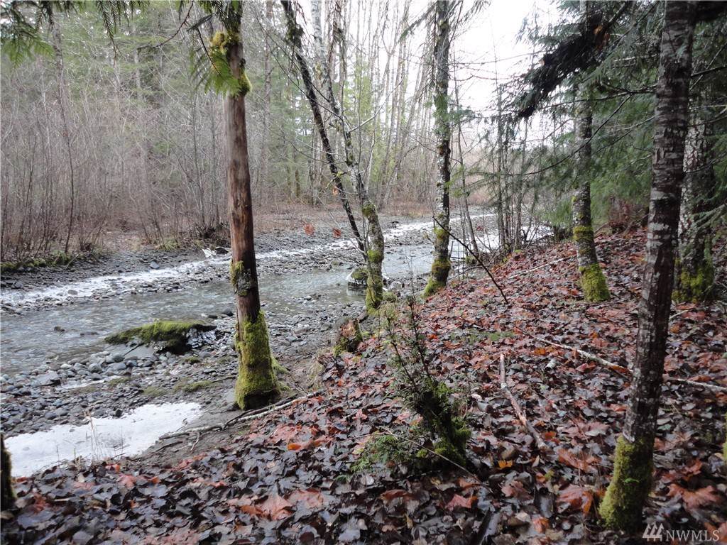 0-Lot34/35 Timberline Dr - Photo 1