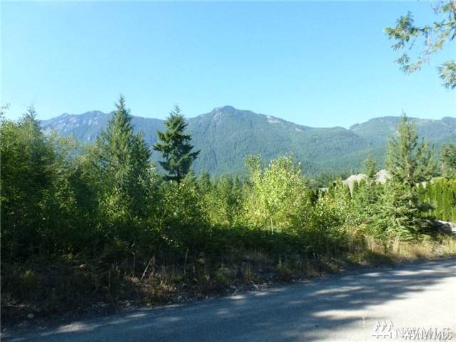 23-LOT Money Creek Rd - Photo 1