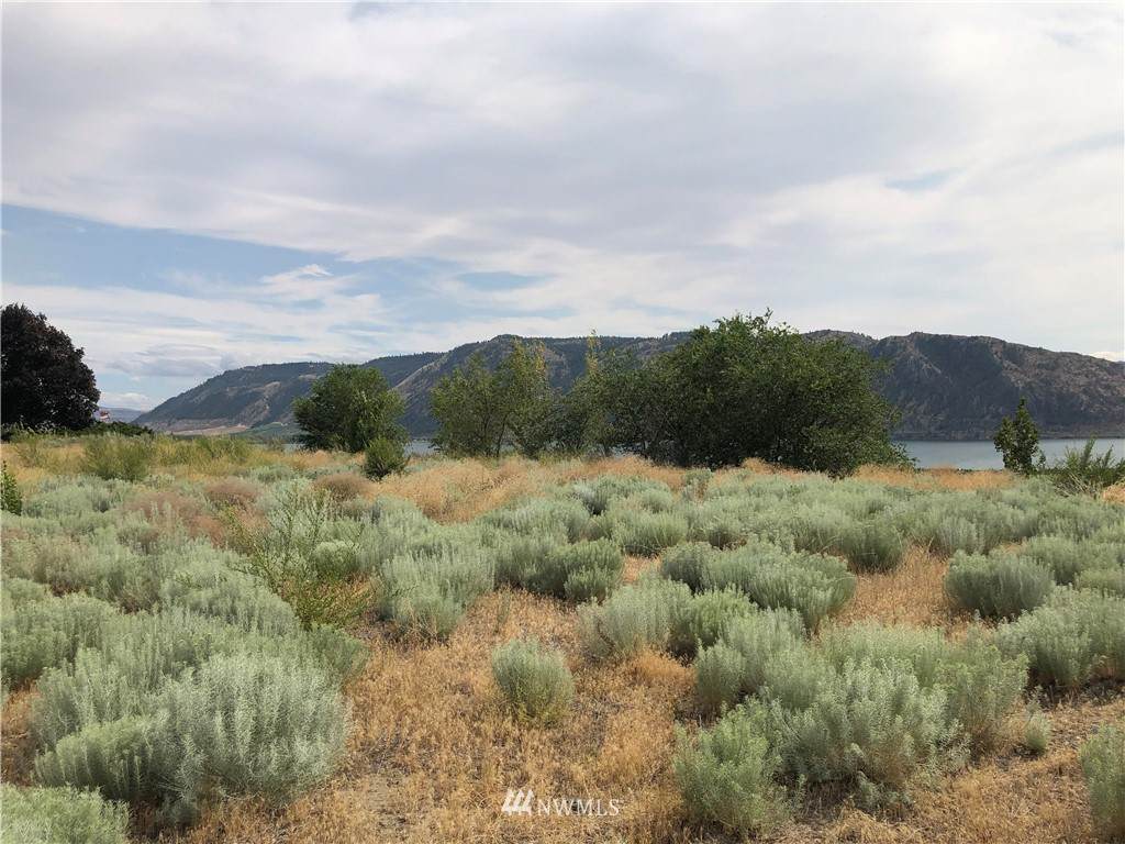 0 Columbia View Drive - Photo 1