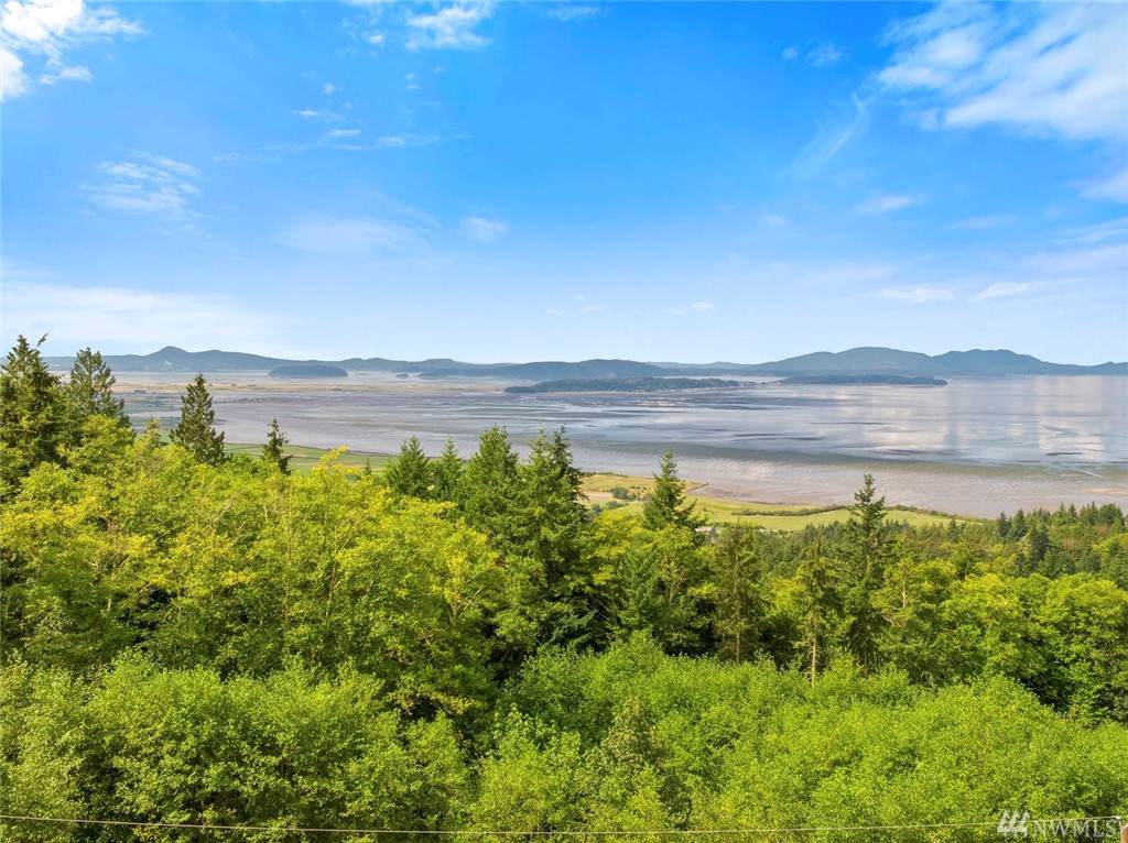 0 Mountain Dr - Photo 1