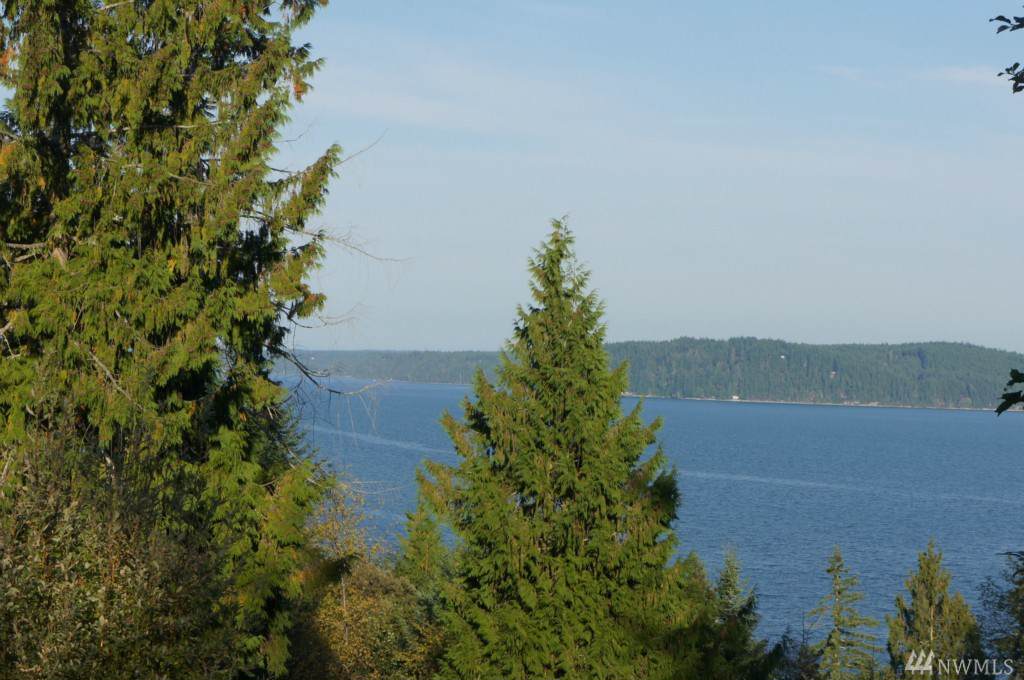 0-NSN Forest Dr - Photo 1