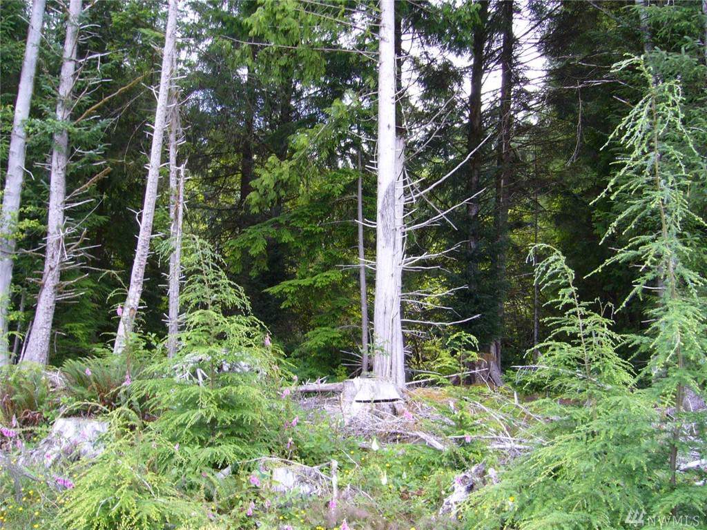999 Cedar Creek - Photo 1