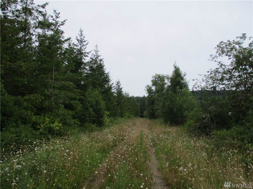 0-xx Lucas Creek Rd - Photo 1