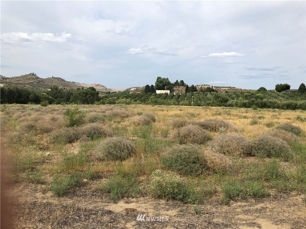 0 Columbia View Drive - Photo 1