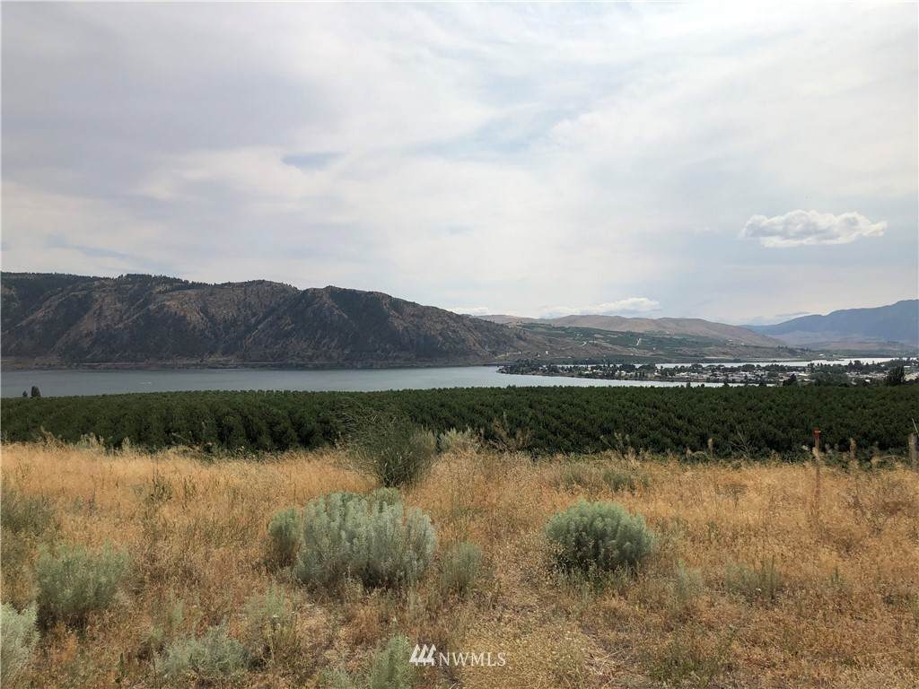 0 Columbia View Drive - Photo 1