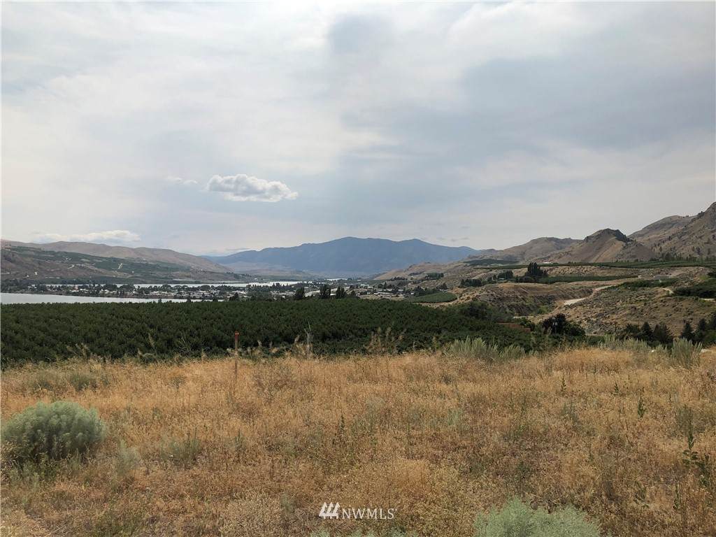 0 Columbia View Drive - Photo 1
