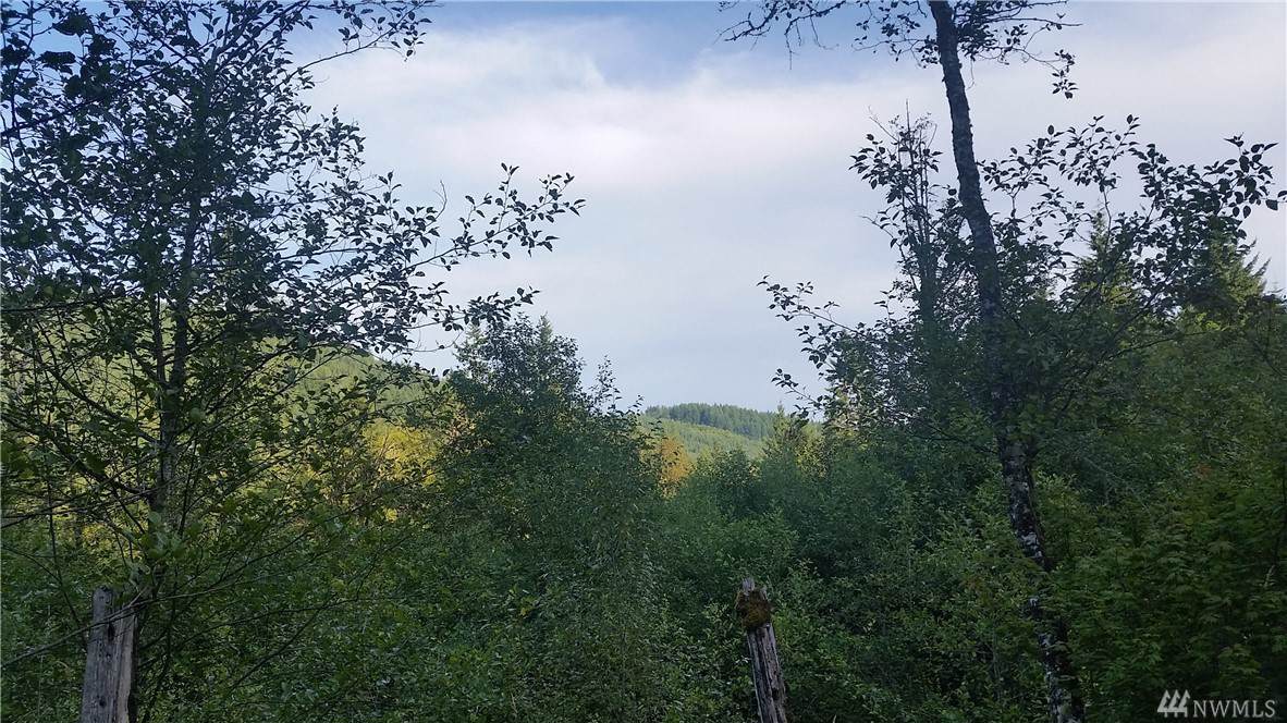 49906 Midwat Creek Rd - Photo 1