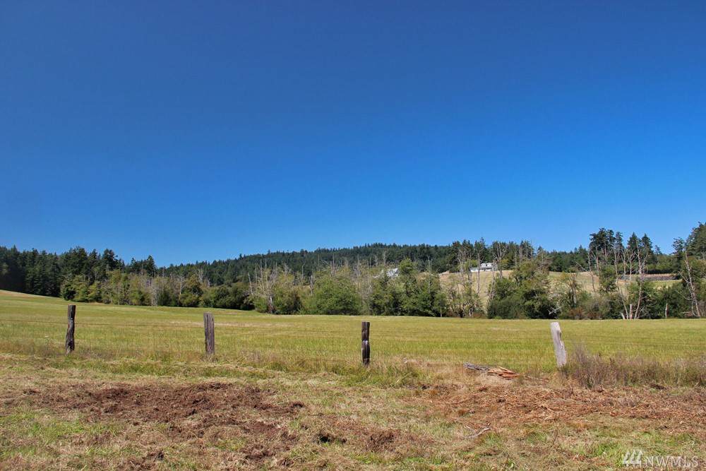 0 Prohaska Rd - Photo 1