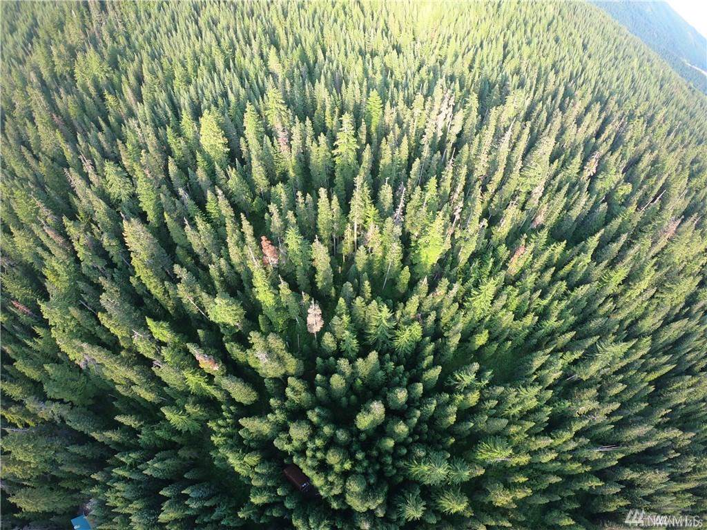 0 Yellowstone Rd - Photo 1
