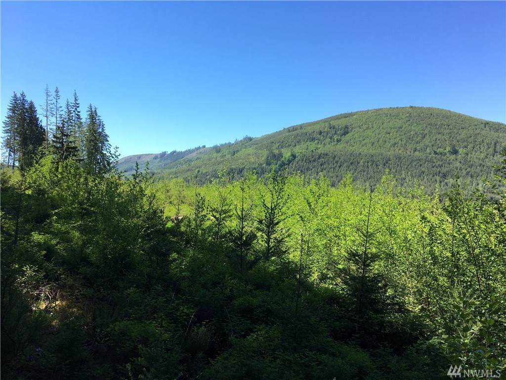 0 Blue Mt. Road - Photo 1