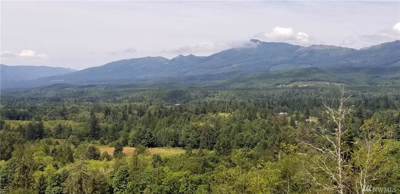 0 South Skagit Hwy - Photo 1