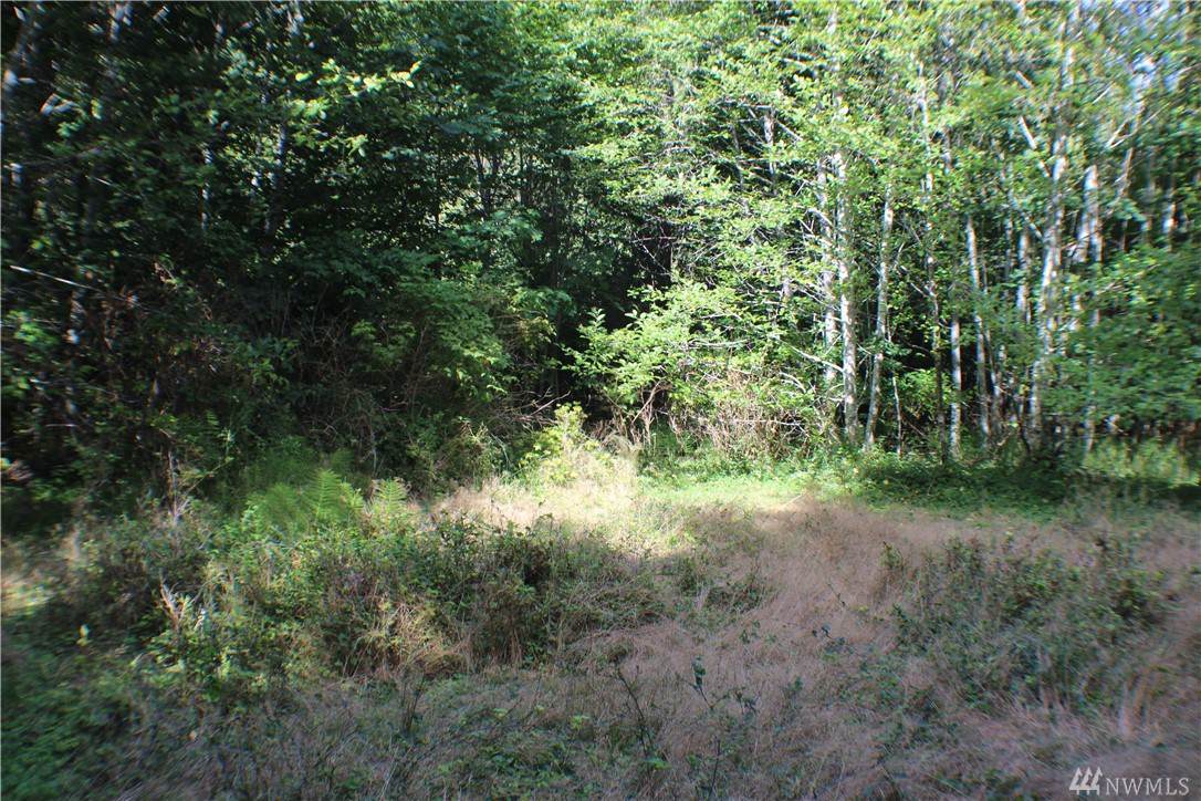 701 Duckabush Dr - Photo 1