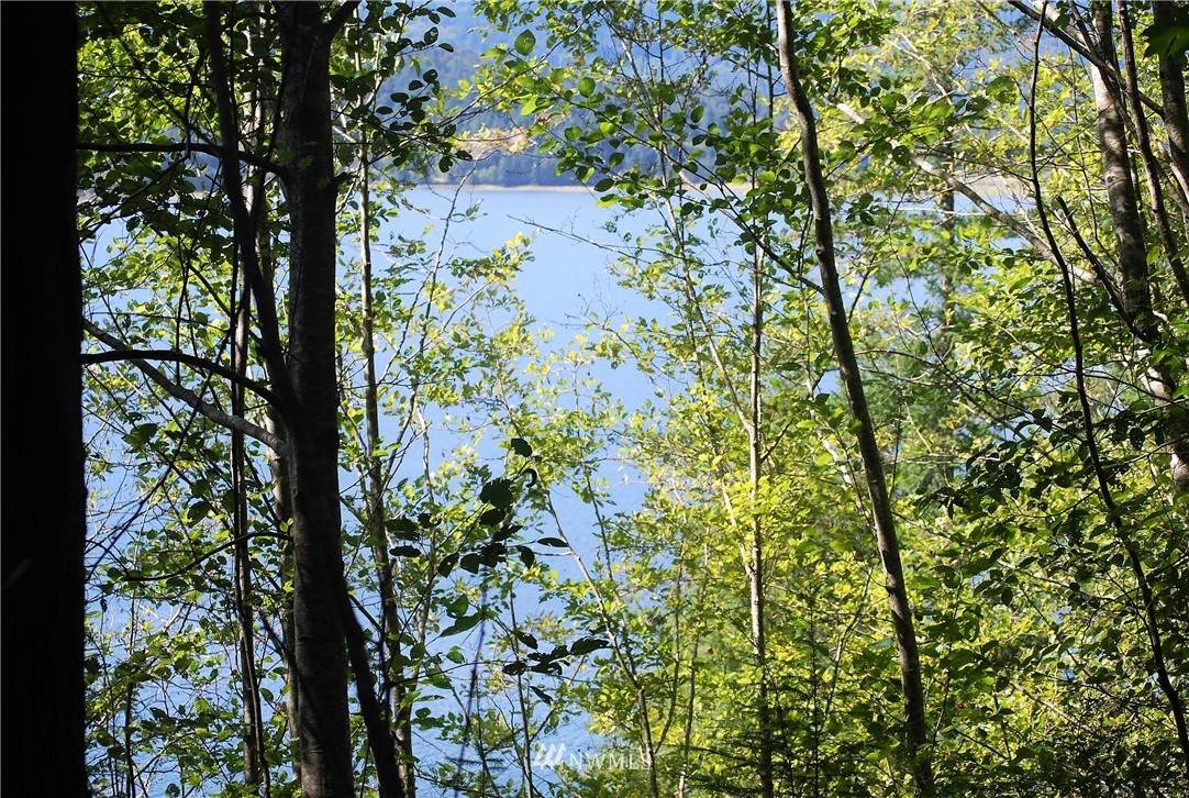 0 Quilcene Road - Photo 1