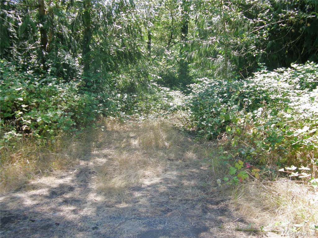 0 Lewis River Rd - Photo 1