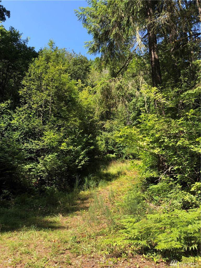 0-42XX Lake Cushman Rd - Photo 1