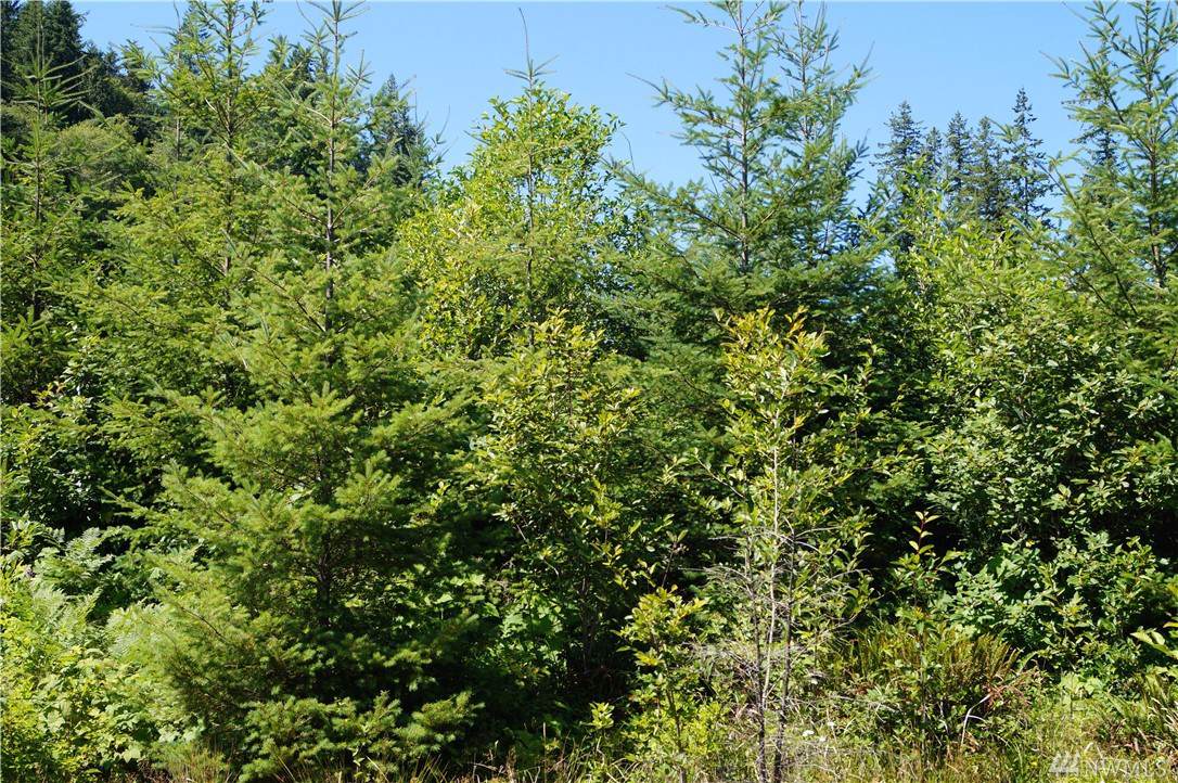 0-Off of East Hoquiam Rd - Photo 1