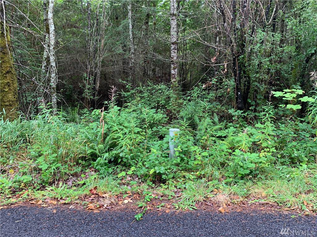 0-XXXX 189th Ave - Photo 1