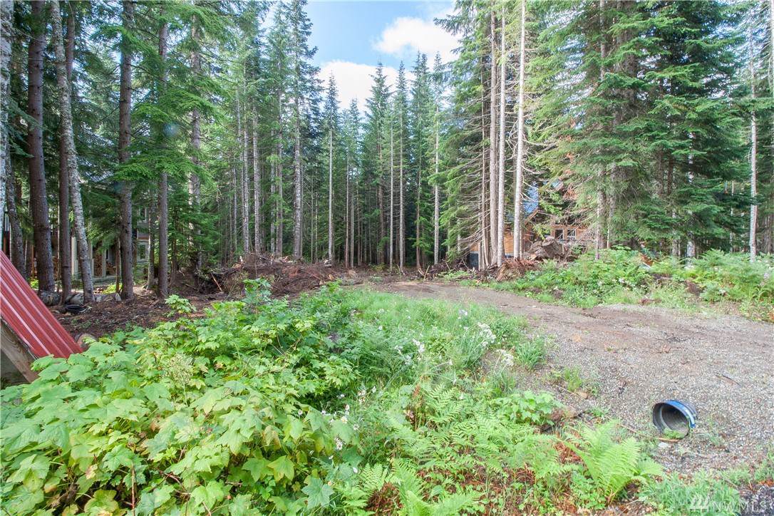 0-Lot 5 Mountain Home Rd - Photo 1