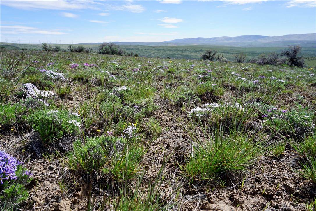 0 Sage Hills Lot 22 Dr - Photo 1