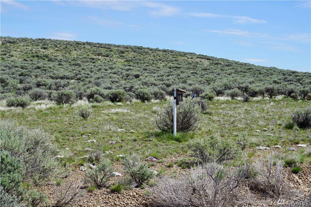 0 Sage Hills Lot 17 Dr - Photo 1