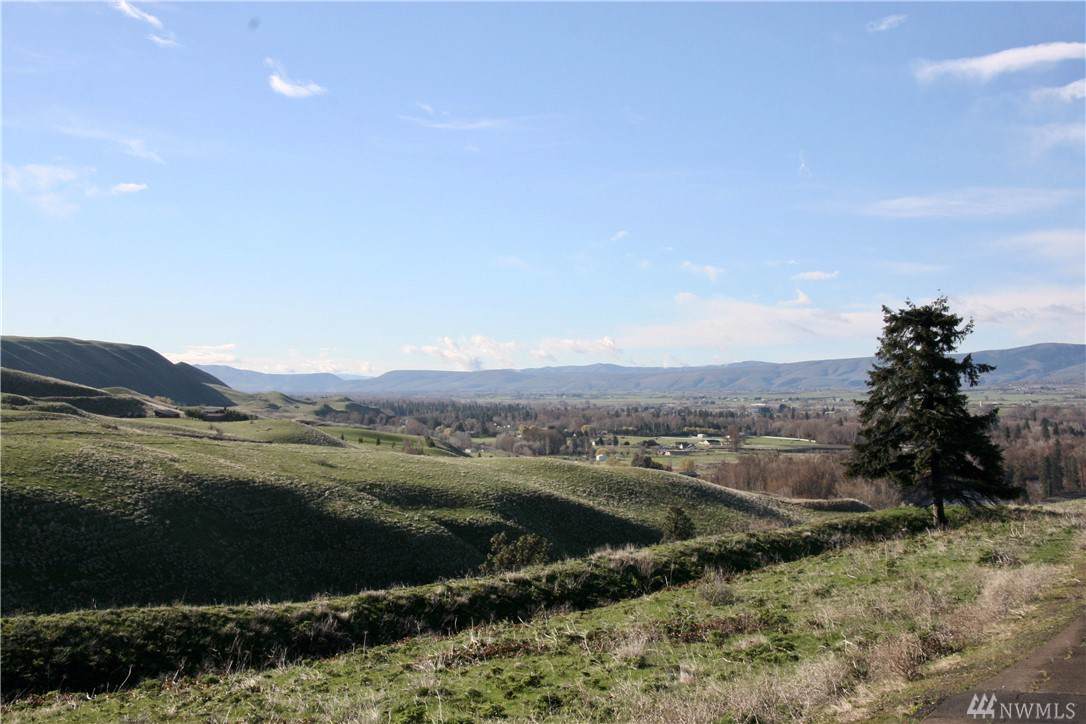 0 Deer Valley Lot 9 Dr - Photo 1