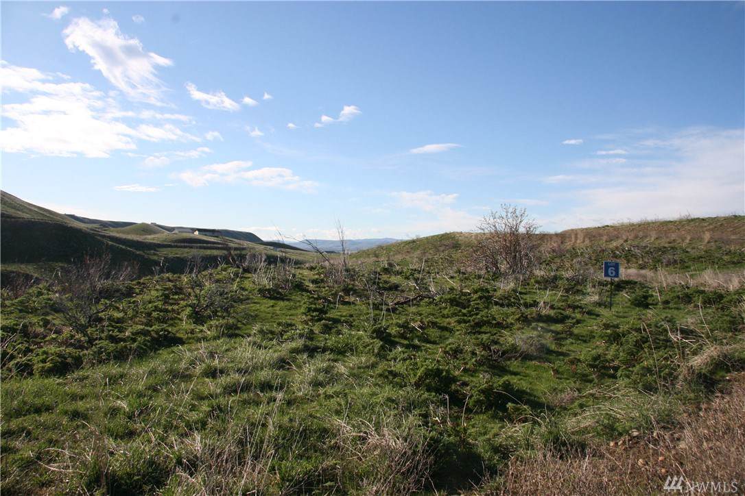 0 Deer Valley Lot 6 Dr - Photo 1