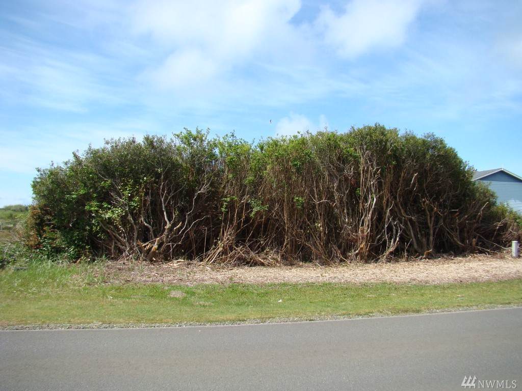 413 Ocean Shores Blvd - Photo 1